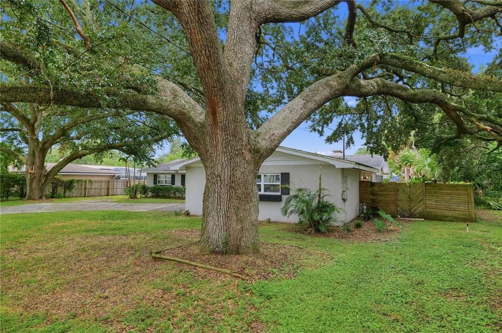 714 AVENUE O SE, WINTER HAVEN, FL — photo 3 of 30