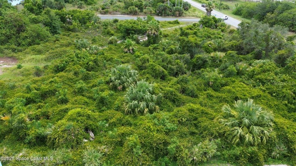 An aerial view shows a densely vegetated, undeveloped plot of land next to a road — 3765 KINGS HIGHWAY, COCOA, FL