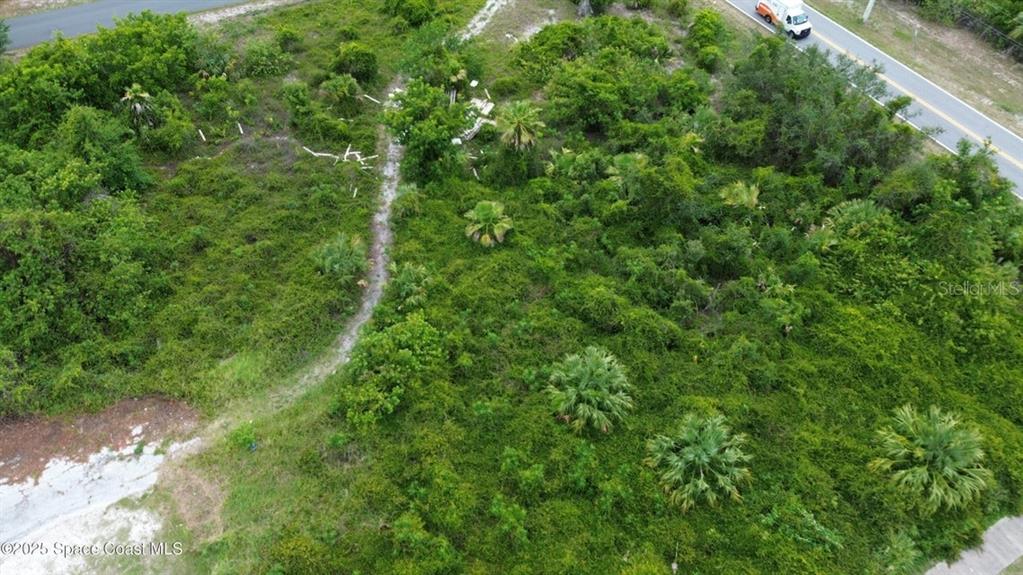 An aerial view shows a vacant, heavily wooded lot adjacent to a paved road — 3765 KINGS HIGHWAY, COCOA, FL