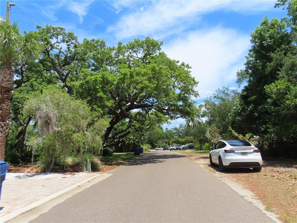 A paved residential street lined with large oak trees and a parked white car — MAYO, CRYSTAL BEACH, FL