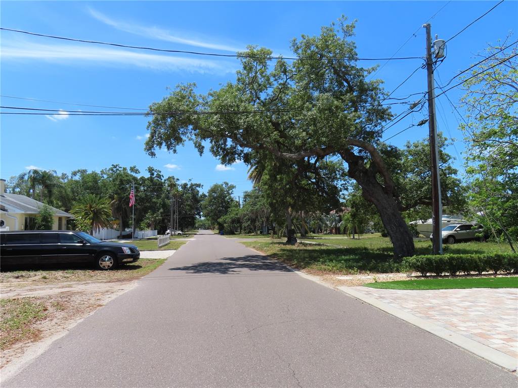 A paved residential street features a large, leaning oak tree and a parked black car — MAYO, CRYSTAL BEACH, FL