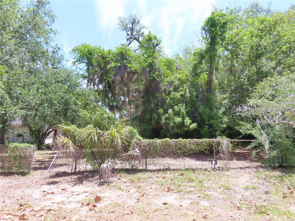 A chain-link fence separates a sandy yard from a dense, tree-filled wooded area — MAYO, CRYSTAL BEACH, FL