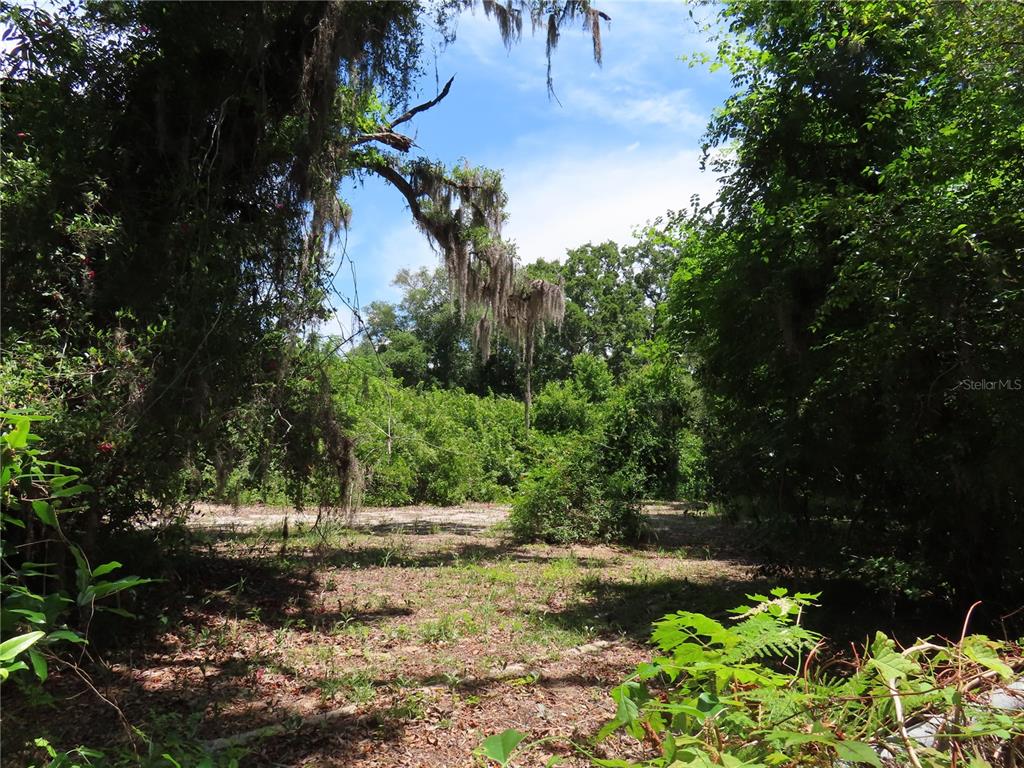 A view of a wooded, partially cleared lot with Spanish moss hanging from the trees — MAYO, CRYSTAL BEACH, FL