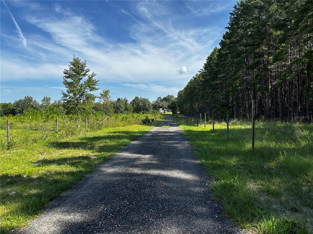 A paved driveway leads through a grassy field toward a distant house and treeline — 7351 NE 106TH TERRACE, BRONSON, FL