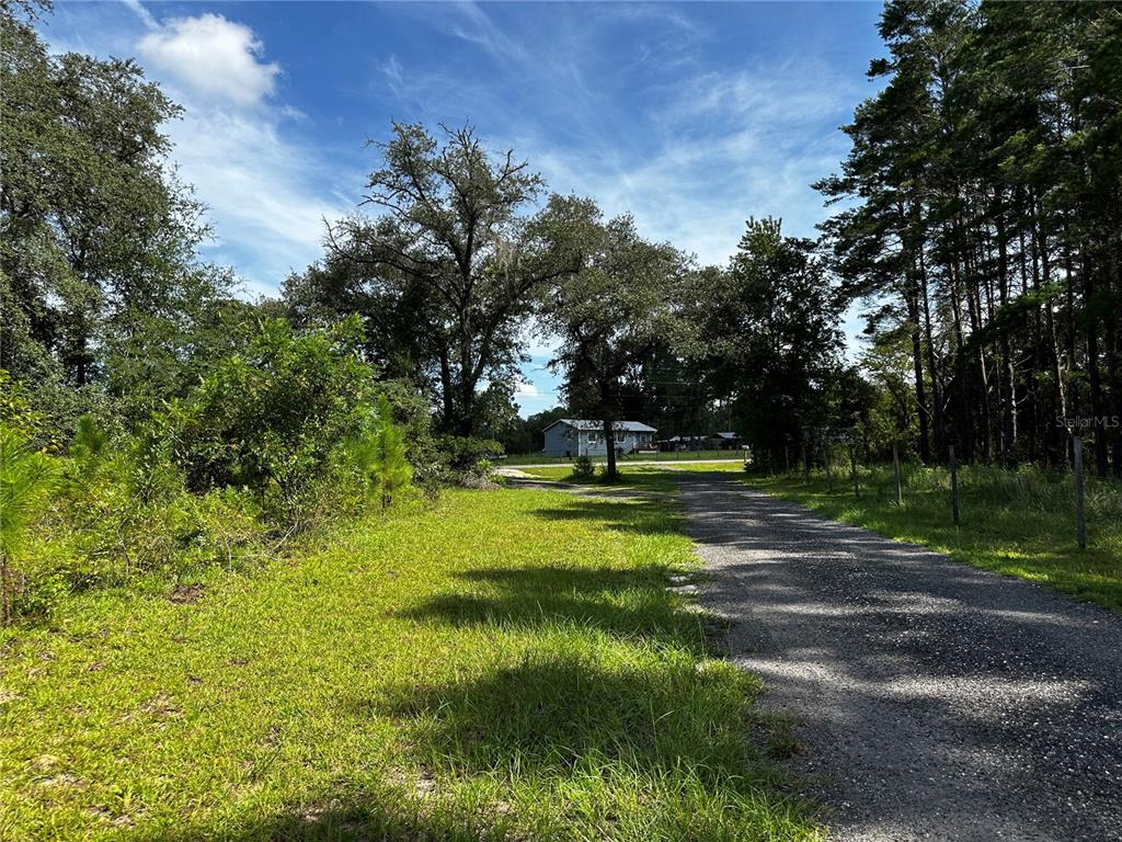 A gravel driveway leads toward a house visible through trees on a sunny day — 7351 NE 106TH TERRACE, BRONSON, FL