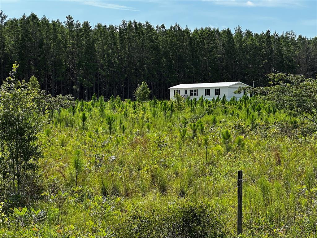 A white manufactured home sits in a field of young pine trees before a forest — 7351 NE 106TH TERRACE, BRONSON, FL