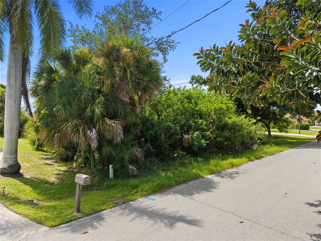 A paved road runs alongside a vacant, heavily wooded lot with palm trees and a mailbox — 2434 HERRON TERRACE, PORT CHARLOTTE, FL