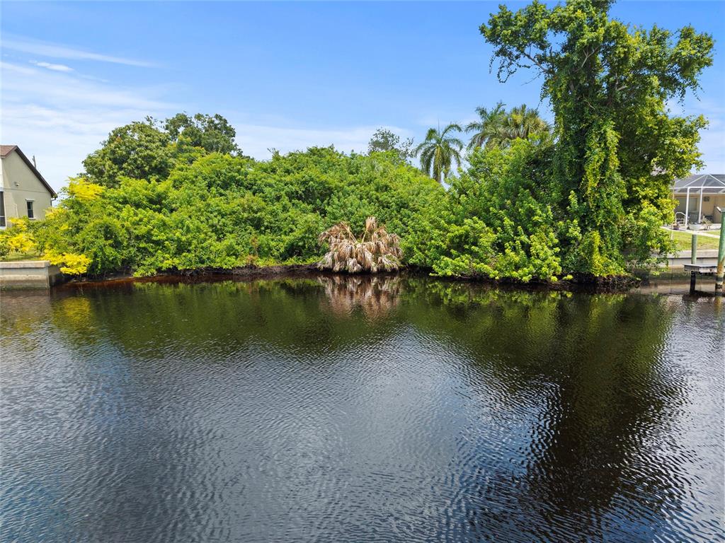 A view of a canal bordered by dense green trees and a small wooden dock — 2434 HERRON TERRACE, PORT CHARLOTTE, FL