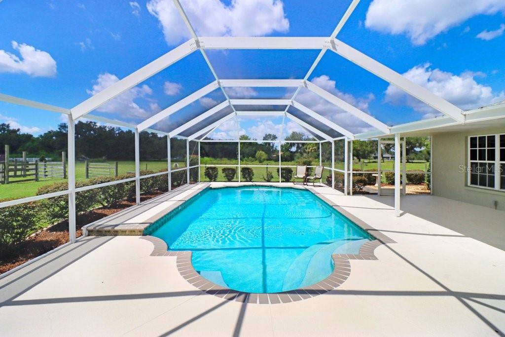 A screened-in swimming pool with a concrete deck overlooks a grassy field under a blue sky — 13221 TOM GALLAGHER ROAD, DOVER, FL