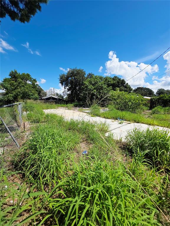 A concrete driveway leads toward a small house surrounded by overgrown grass and trees — 305 E BRIDGERS AVENUE, AUBURNDALE, FL