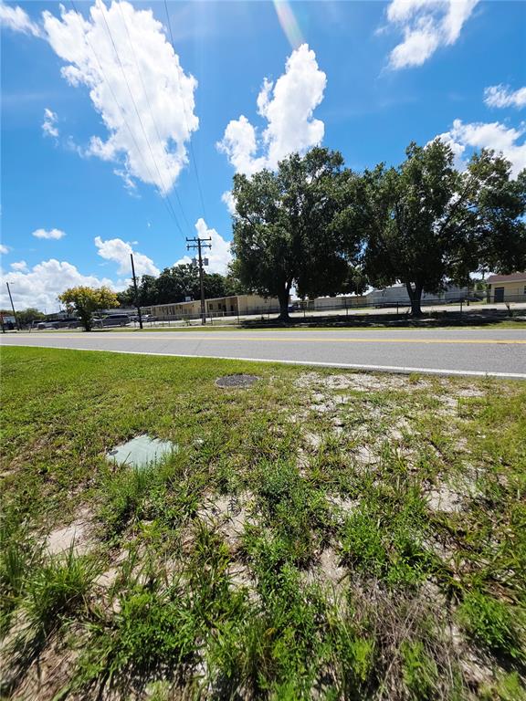 A view of an overgrown, grassy lot with trees under a bright blue sky — 305 E BRIDGERS AVENUE, AUBURNDALE, FL