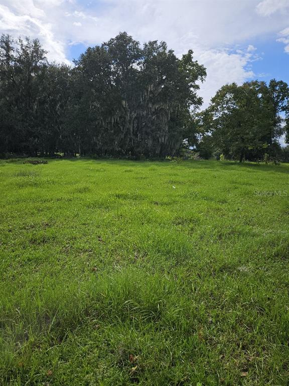 1075 NW 100TH STREET, OCALA, FL — photo 2 of 2