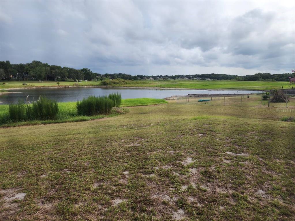 A grassy backyard slopes down toward a small pond with a distant treeline — 6520 LYNN ROAD, ORLANDO, FL