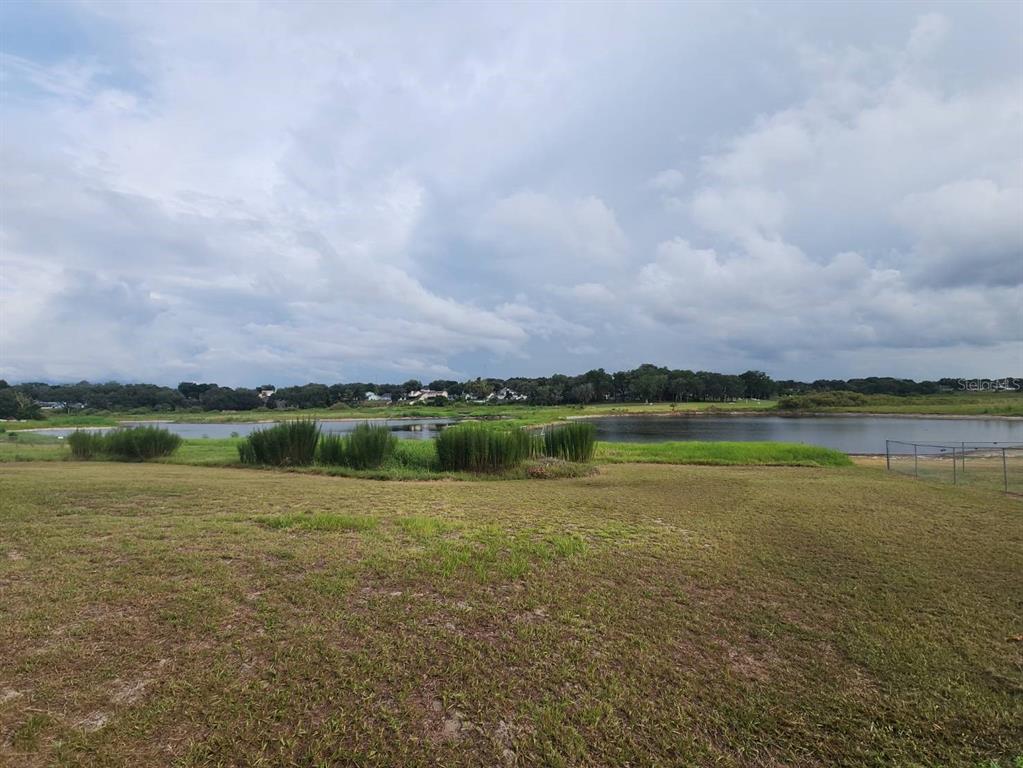 A grassy field overlooks a pond with a line of trees in the background — 6520 LYNN ROAD, ORLANDO, FL