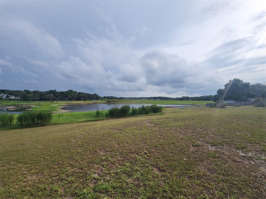 A grassy field overlooks a pond with a line of trees in the background — 6520 LYNN ROAD, ORLANDO, FL