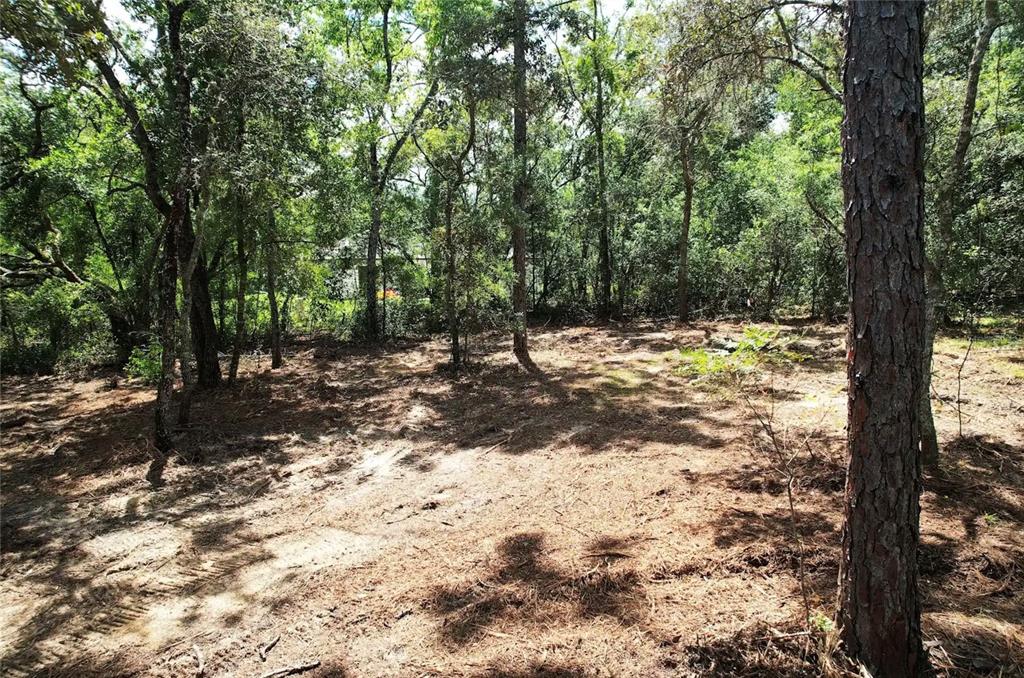 3094 E SCOFIELD STREET, INVERNESS, FL — photo 2 of 7
