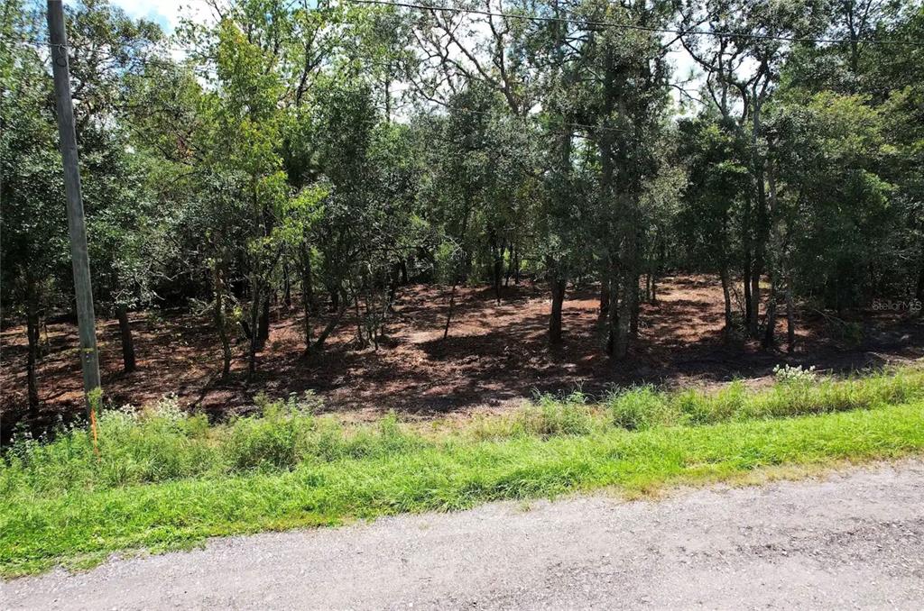 3094 E SCOFIELD STREET, INVERNESS, FL — photo 5 of 7