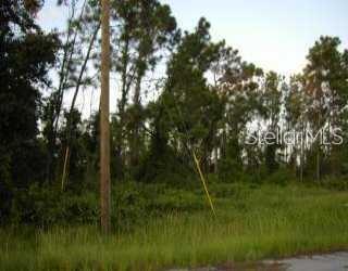 A vacant, wooded lot is covered in tall grass and surrounded by mature trees — DOUGLAS ROAD, NORTH PORT, FL