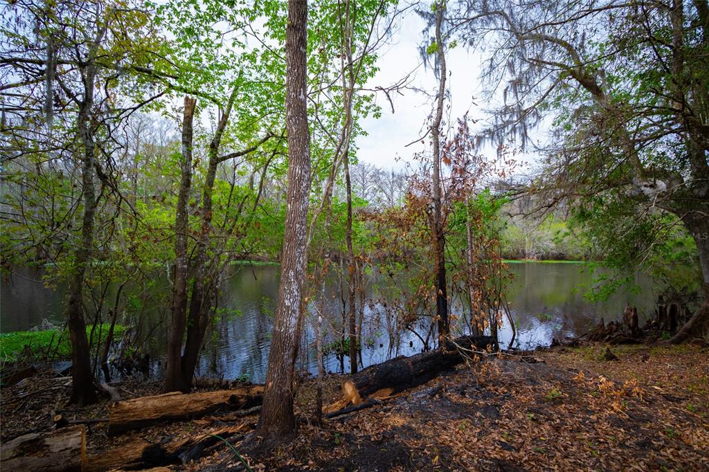 A view of a calm riverbank surrounded by trees with some charred wood on the ground — 7822 CR 647, BUSHNELL, FL
