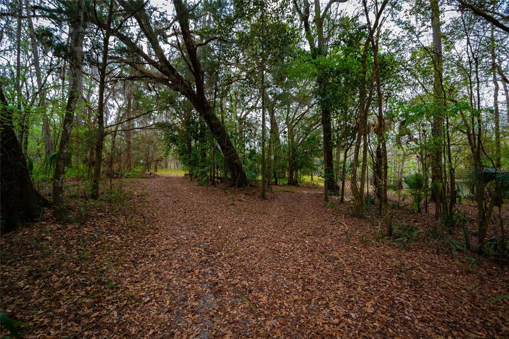 A dirt path leads through a wooded area covered in fallen leaves — 7822 CR 647, BUSHNELL, FL