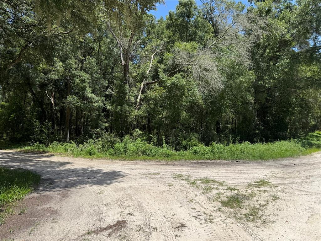 A dirt road intersection borders a dense, wooded area with mature trees and green vegetation — SW 139TH CT, DUNNELLON, FL