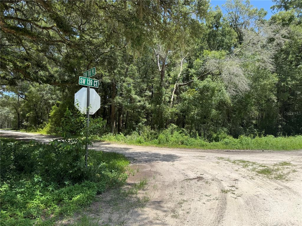 A dirt road intersection features a stop sign and street signs beneath dense green trees — SW 139TH CT, DUNNELLON, FL