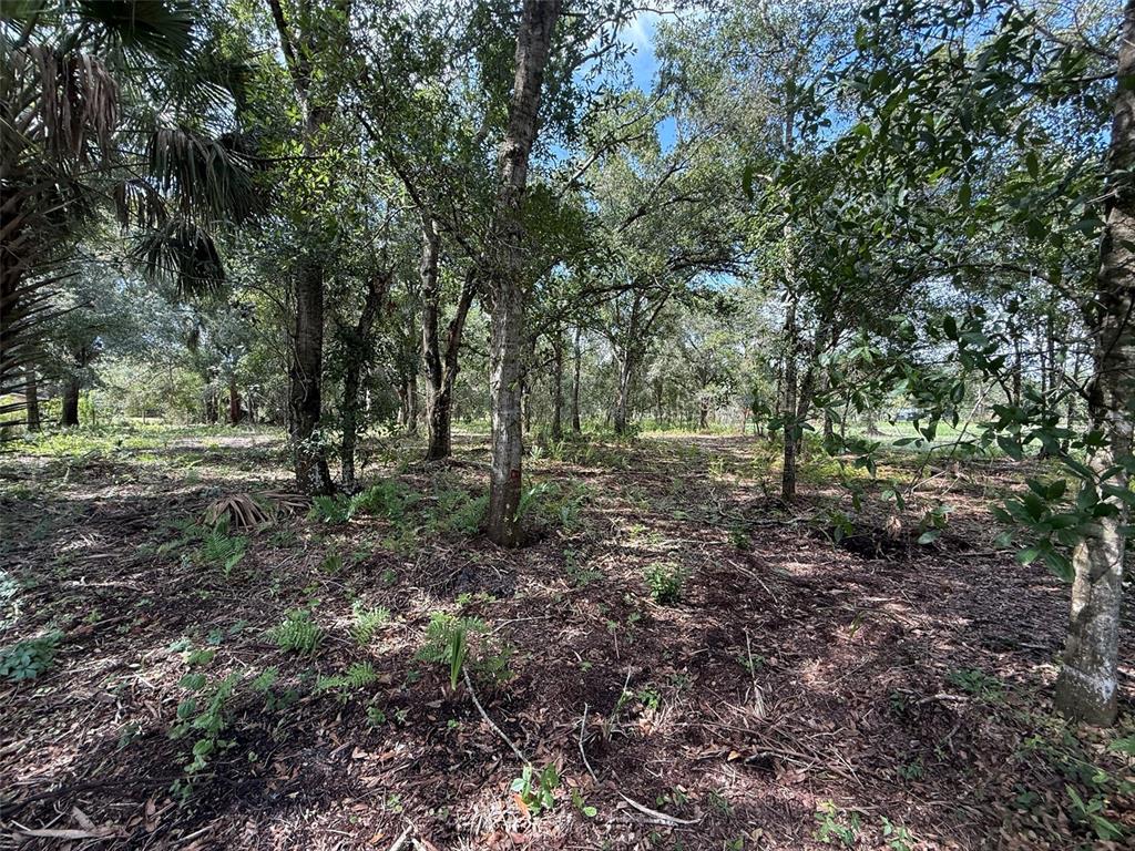 7757 NW 86TH COURT, OKEECHOBEE, FL — photo 4 of 10
