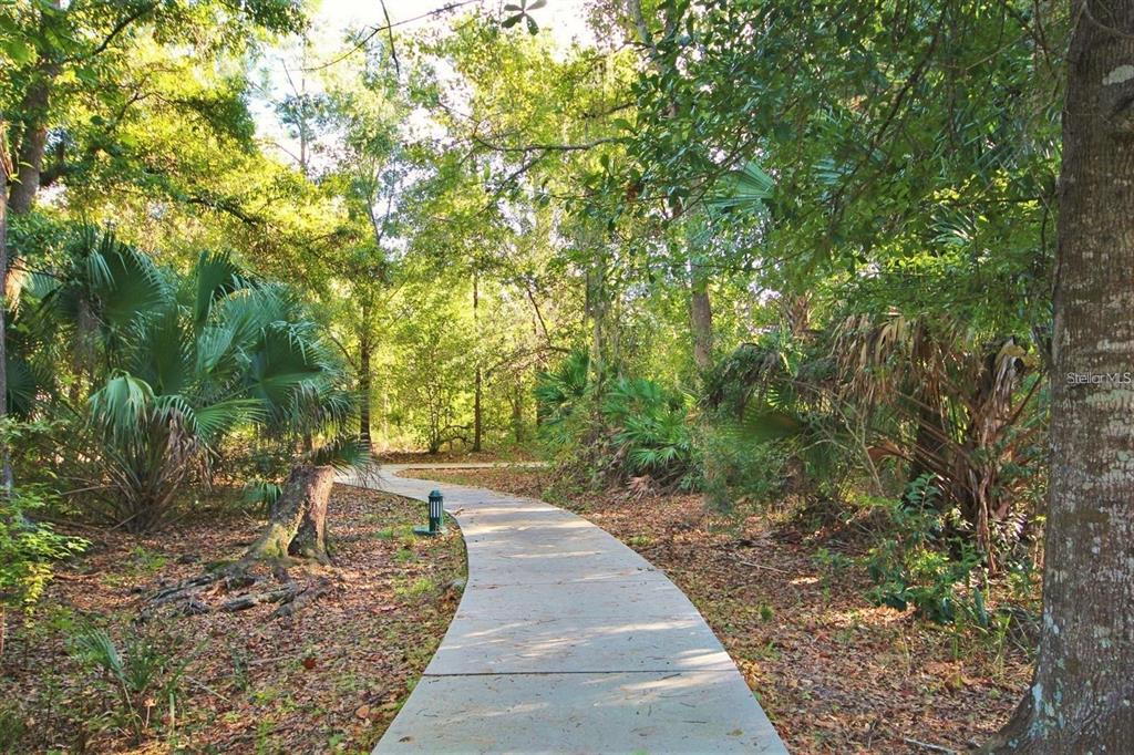A concrete walkway winds through a wooded area with palm trees and lush vegetation — 1007 SIENA PARK BOULEVARD E, KISSIMMEE, FL