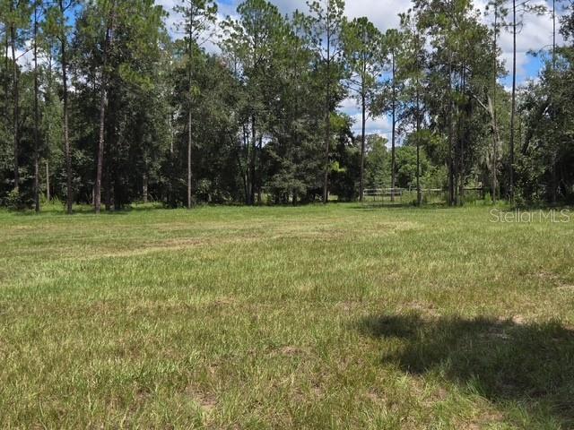 18505 HOLLOWAY LANE, DADE CITY, FL — photo 2 of 16