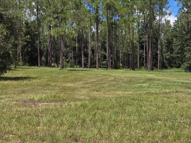 18505 HOLLOWAY LANE, DADE CITY, FL — photo 3 of 16