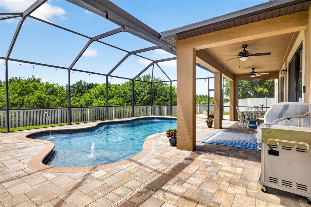 11603 PALMETTO PINE STREET, RIVERVIEW, FL — photo 2 of 30