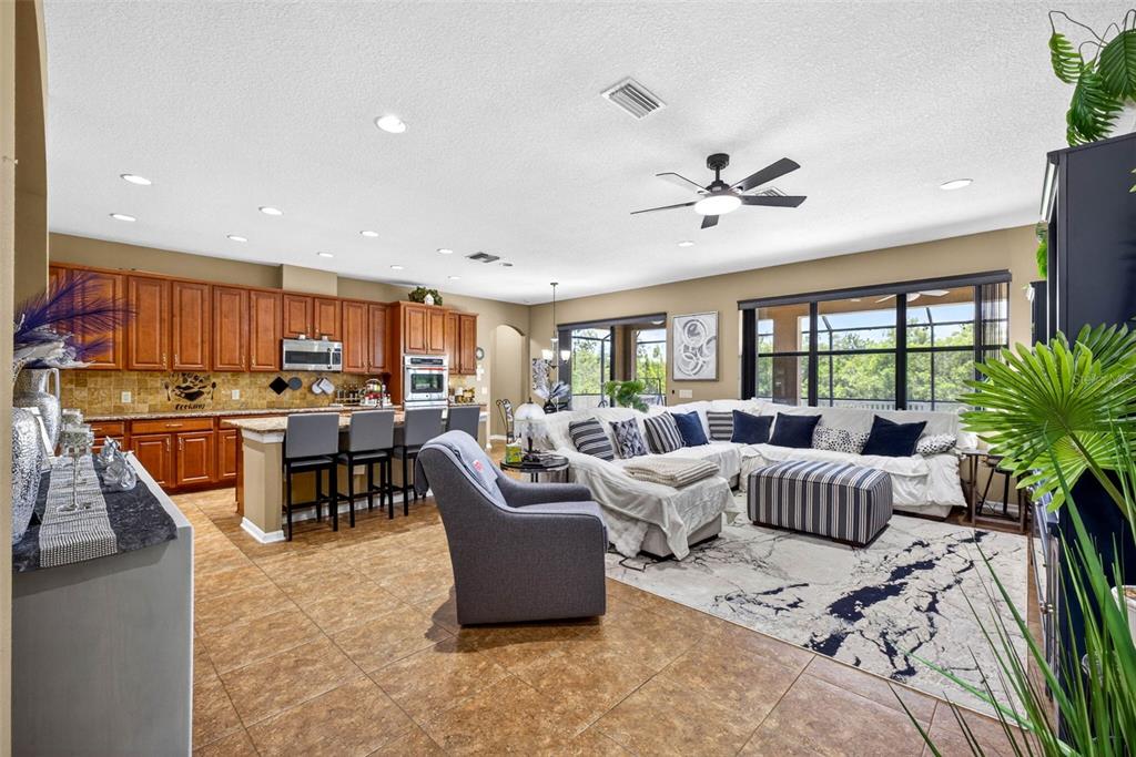 11603 PALMETTO PINE STREET, RIVERVIEW, FL — photo 3 of 30