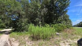4284 CR 575, BUSHNELL, FL — photo 2 of 3