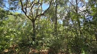 4284 CR 575, BUSHNELL, FL — photo 3 of 3