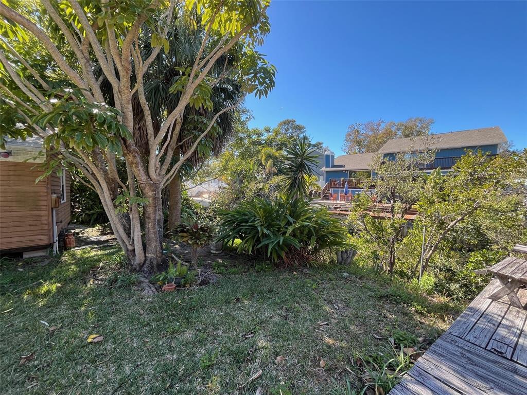 A grassy backyard features a large tree, tropical plants, and a wooden deck — Lot 96 BLUE JAY CIRCLE, PALM HARBOR, FL