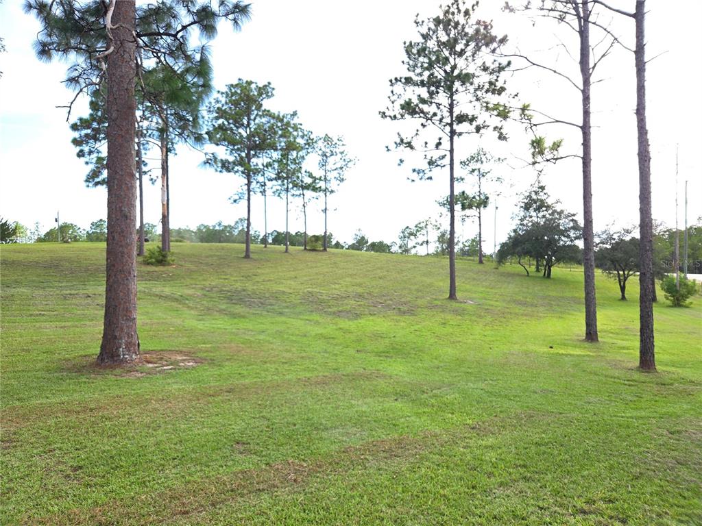 A grassy, sloping lot features several tall pine trees under a bright, clear sky — 13030 SE 21ST PLACE, MORRISTON, FL