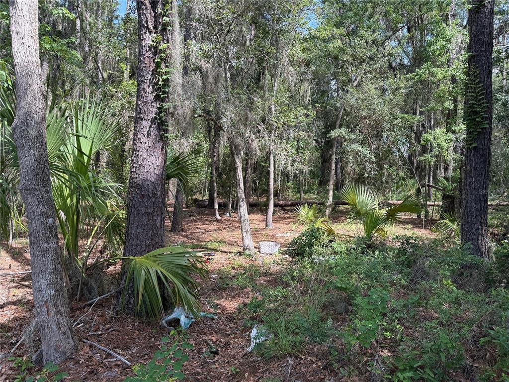 SW 38 TERRACE, GAINESVILLE, FL — photo 2 of 12