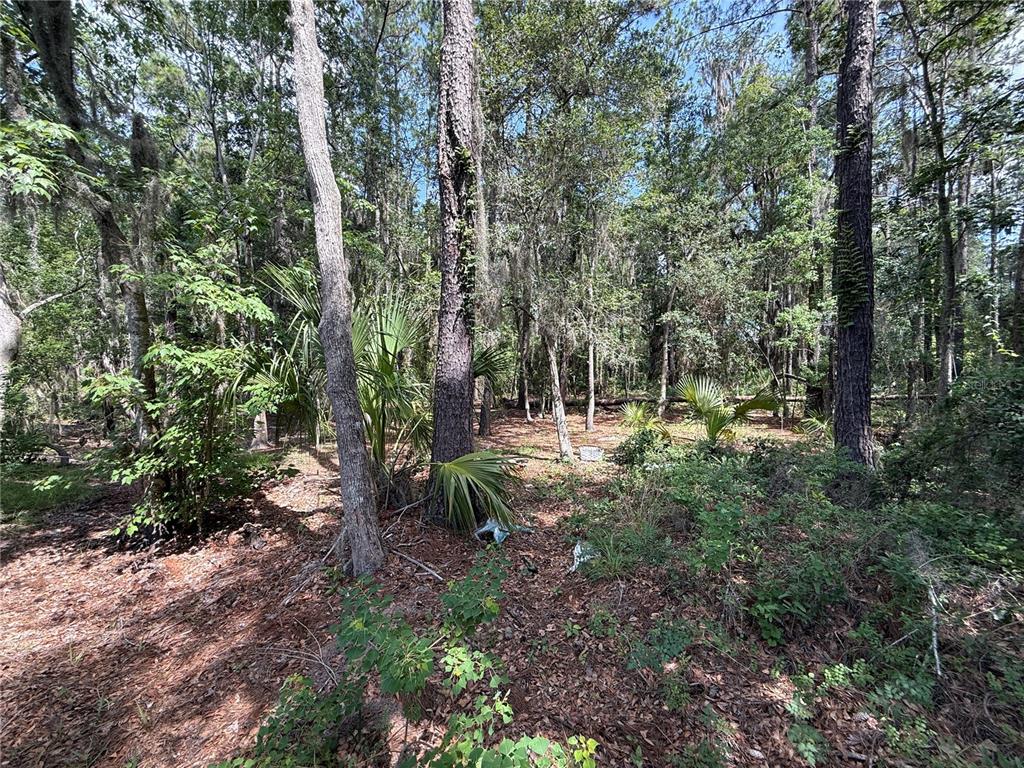 SW 38 TERRACE, GAINESVILLE, FL — photo 3 of 12