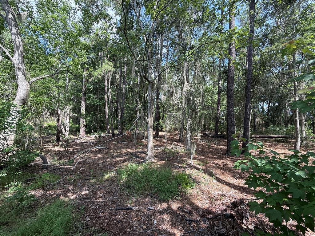 SW 38 TERRACE, GAINESVILLE, FL — photo 4 of 12