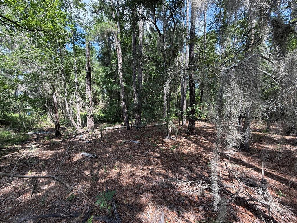 SW 38 TERRACE, GAINESVILLE, FL — photo 5 of 12