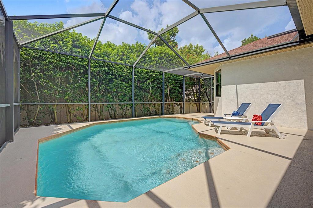 A screened-in swimming pool with a concrete deck and two lounge chairs — 1045 MAZA PLACE, TRINITY, FL