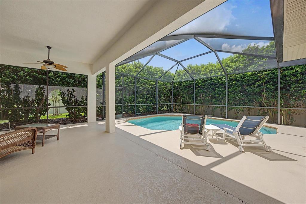 A covered patio with a ceiling fan overlooks a screened-in swimming pool and backyard hedge — 1045 MAZA PLACE, TRINITY, FL
