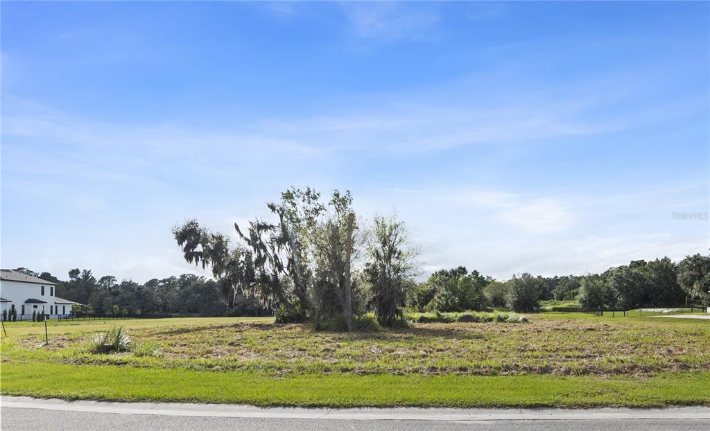 A grassy, cleared lot features a small cluster of trees under a bright blue sky — 15323 FISHHAWK HEIGHTS RUN, LITHIA, FL