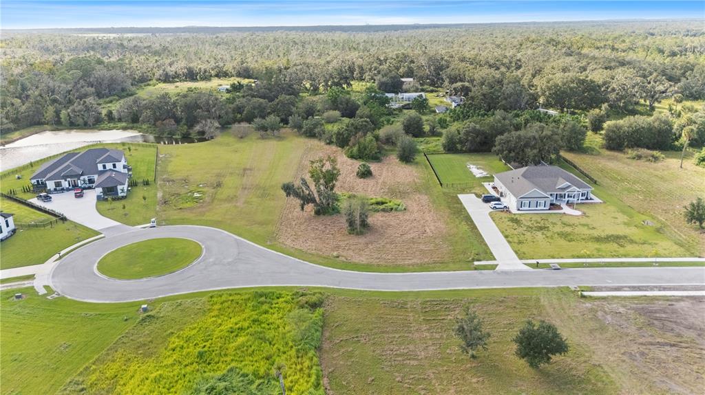 An aerial view shows two houses separated by a vacant lot in a rural subdivision — 15323 FISHHAWK HEIGHTS RUN, LITHIA, FL