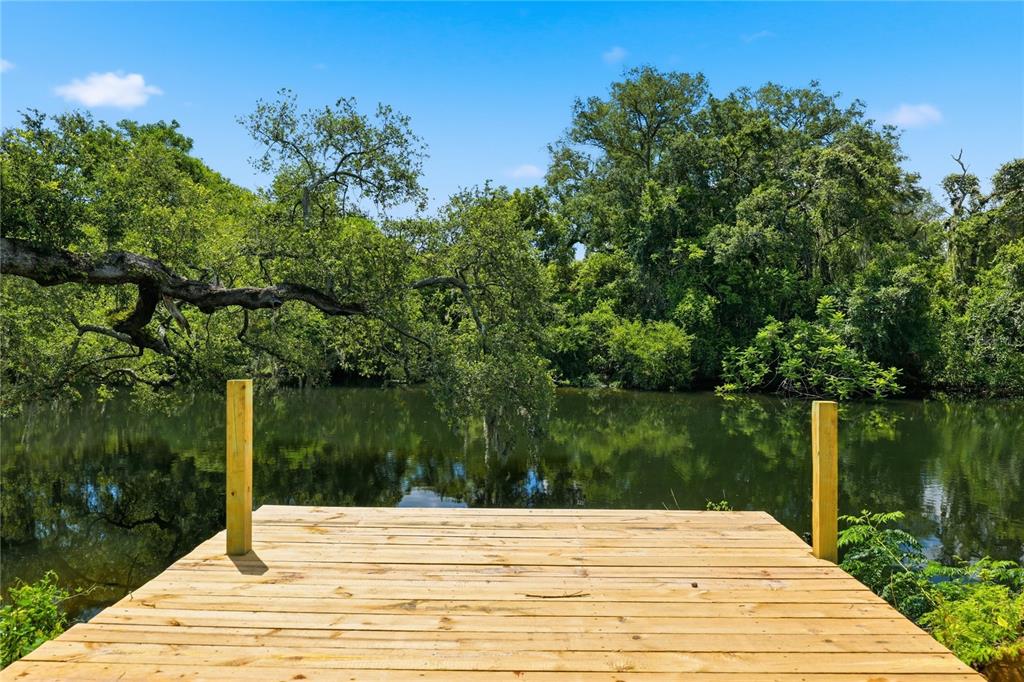 A large tree stands in a backyard leading to a wooden dock on a river — 1915 E MULBERRY DRIVE, TAMPA, FL