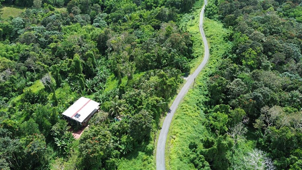 An aerial view shows a house with a white roof surrounded by dense tropical forest — PR-183, SAN LORENZO, PR