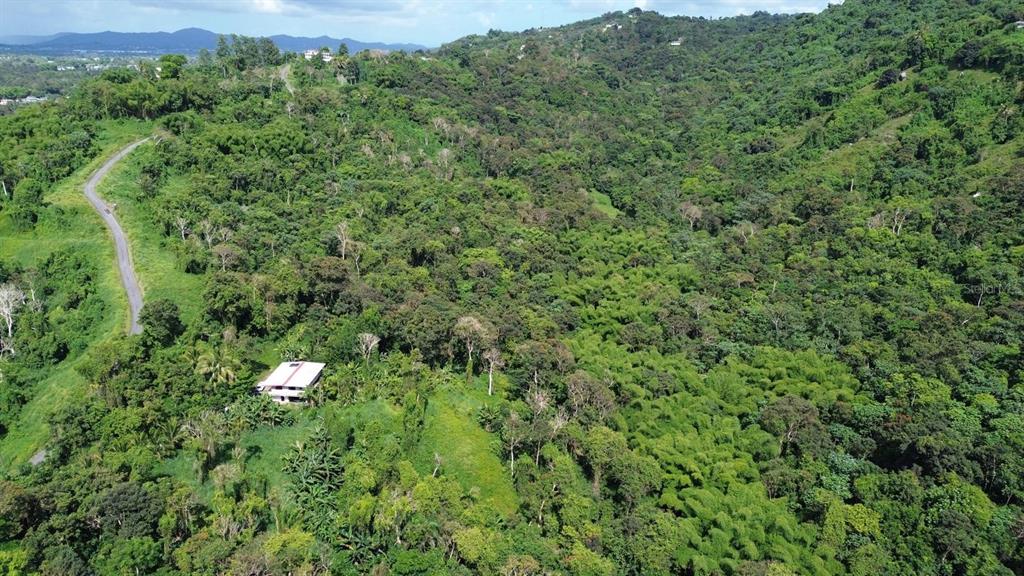 An aerial view shows a house nestled in a lush, green, hilly landscape with a road — PR-183, SAN LORENZO, PR