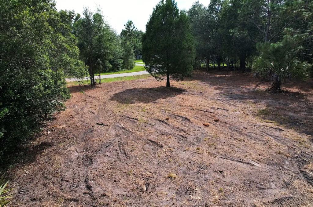 8750 N CATAPANE LOOP, CRYSTAL RIVER, FL — photo 2 of 5