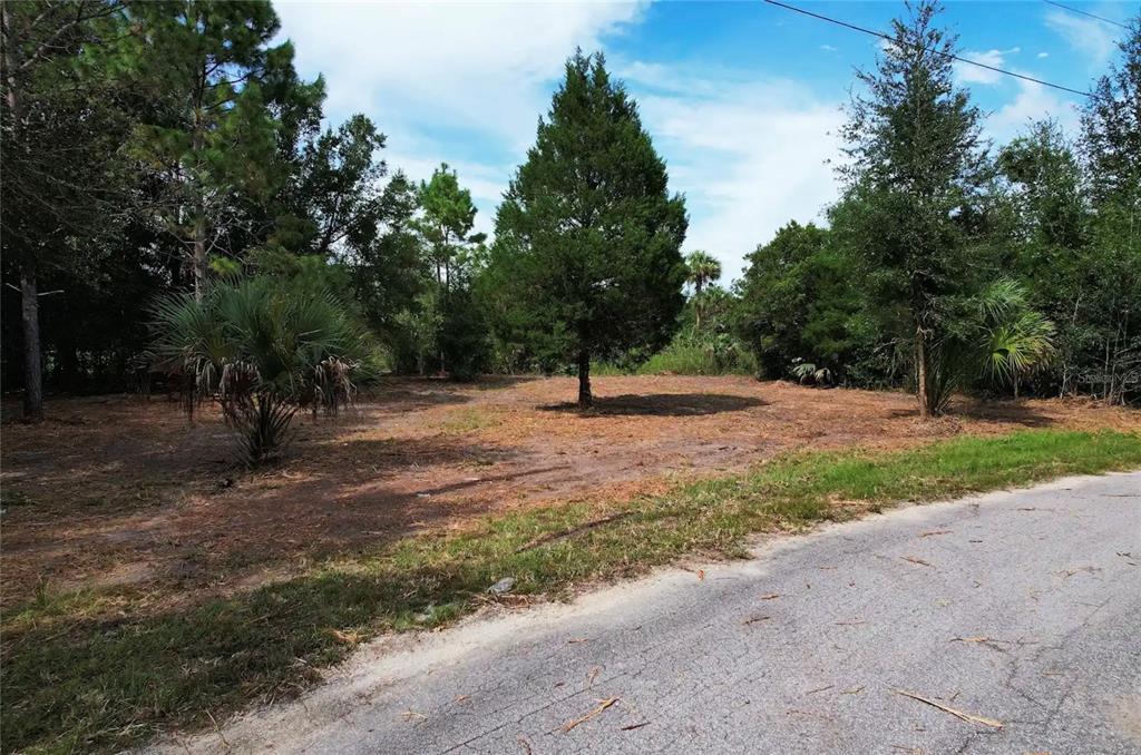8750 N CATAPANE LOOP, CRYSTAL RIVER, FL — photo 3 of 5