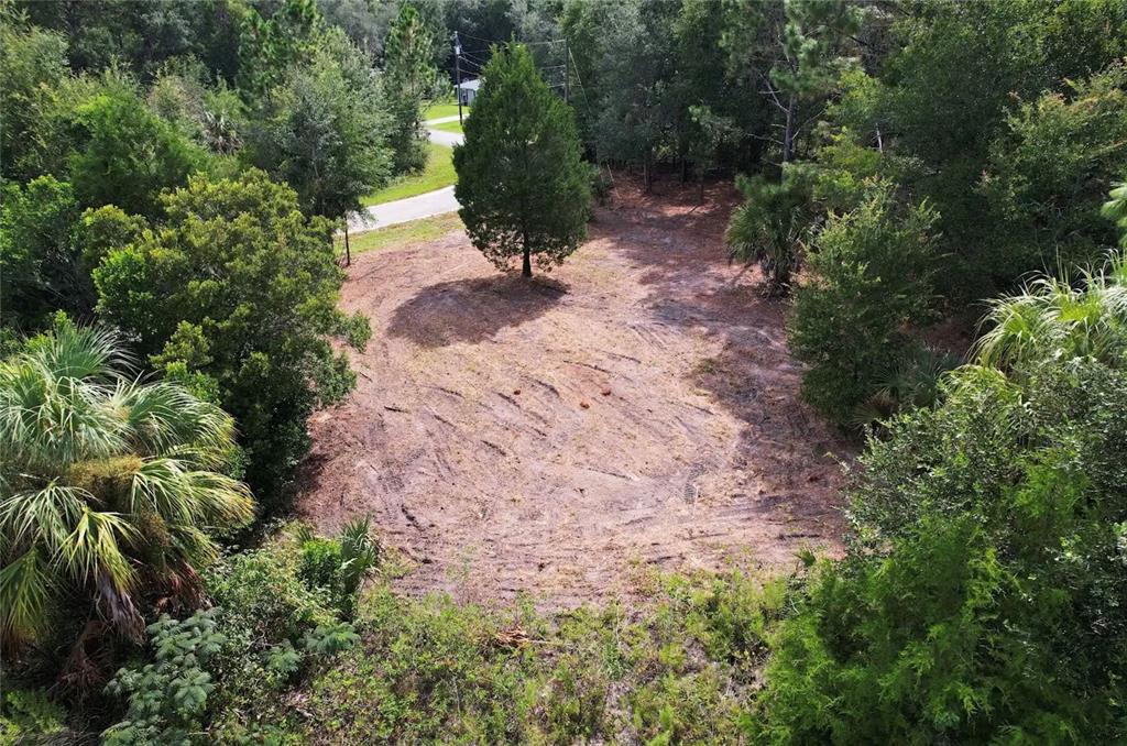8750 N CATAPANE LOOP, CRYSTAL RIVER, FL — photo 4 of 5